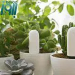 حسگر هوشمند گل و گیاه شیائومی