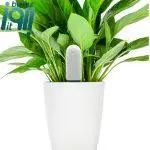 حسگر هوشمند گل و گیاه شیائومی