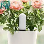حسگر هوشمند گل و گیاه شیائومی