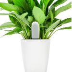 حسگر هوشمند گل و گیاه شیائومی VegTrug Smart Plant Monitor Sensor «اورجینال – ارسال 1 ساعت»