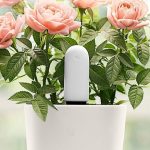 حسگر هوشمند گل و گیاه شیائومی VegTrug Smart Plant Monitor Sensor «اورجینال – ارسال 1 ساعت»